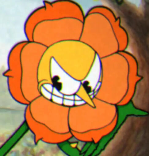 Cagney Carnation